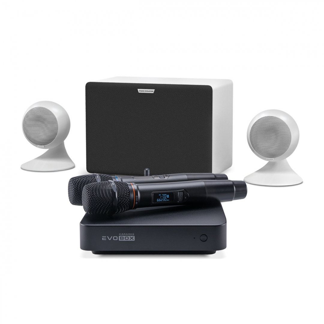 караоке-комплект EVOBOX Classic + EvoSound Sphere 2.1 в Сухиничах