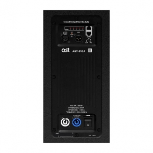 Активная акустическая система AST-310A в Сухиничах