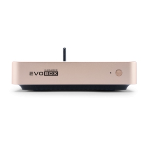EVOBOX Classic караоке-система для дома в Сухиничах