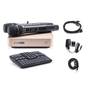 EVOBOX Classic караоке-система для дома в Сухиничах