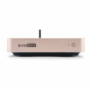 EVOBOX Plus караоке-система для дома в Сухиничах